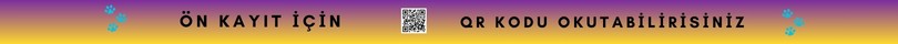 Üst Banner