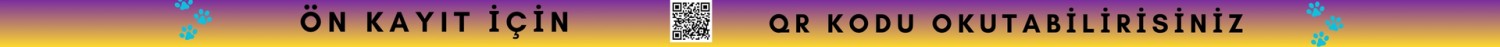 Üst Banner